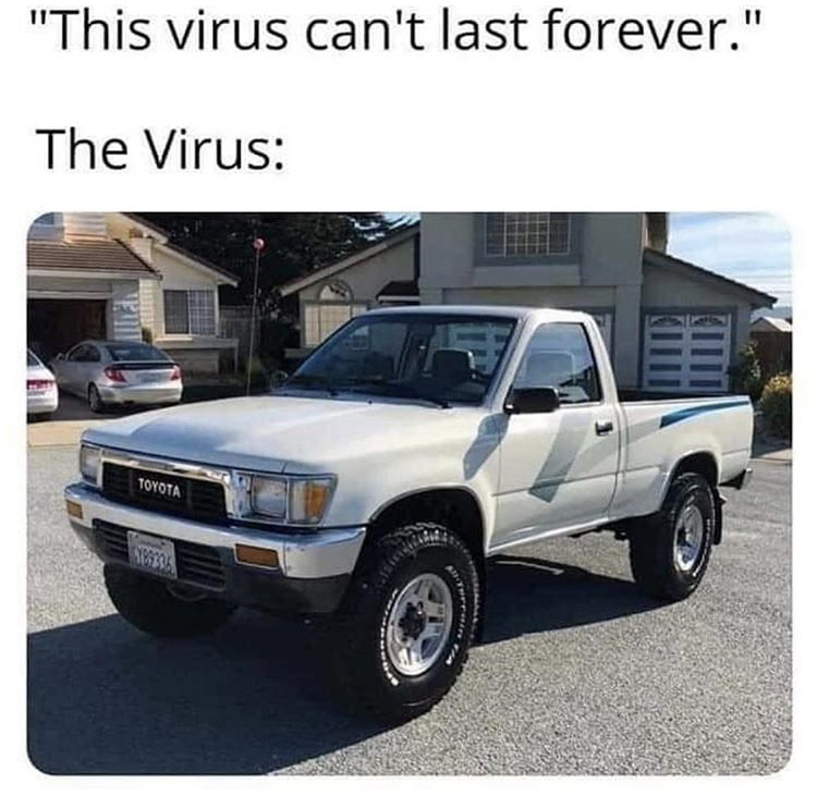 1989 toyota tacoma - "This virus can't last forever." The Virus Toyota 25395