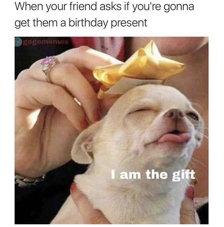 am the gift birthday meme - When your friend asks if you're gonna get them a birthday present gogomemes I am the gift