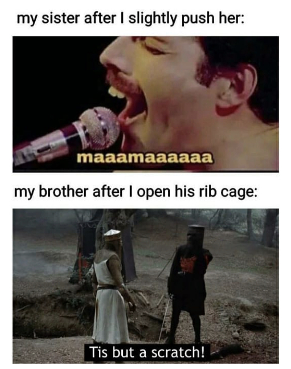 monty python and the holy - my sister after I slightly push her maaamaaaaaa my brother after I open his rib cage Tis but a scratch!