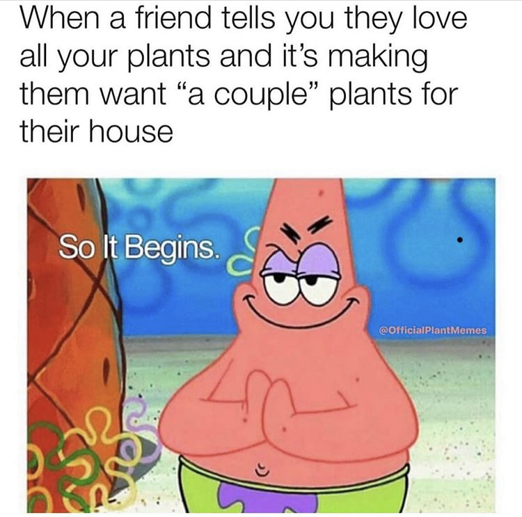 fly lands on me meme - When a friend tells you they love all your plants and it's making them want "a couple" plants for their house So It Begins. c