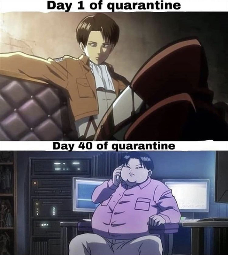 anime memes for quarantine - Day 1 of quarantine Day 40 of quarantine Ww