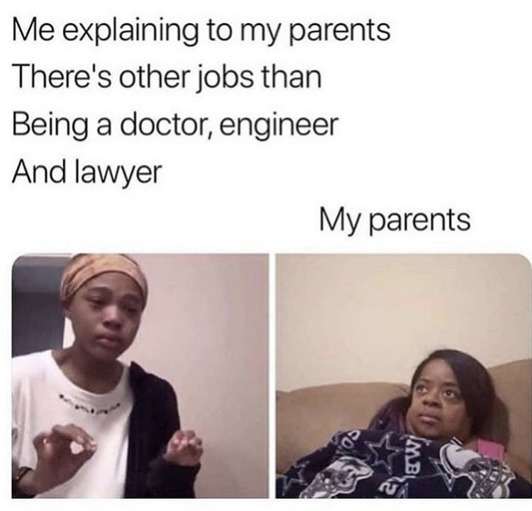 me explaining to my dog meme - Me explaining to my parents There's other jobs than Being a doctor, engineer And lawyer My parents Imb