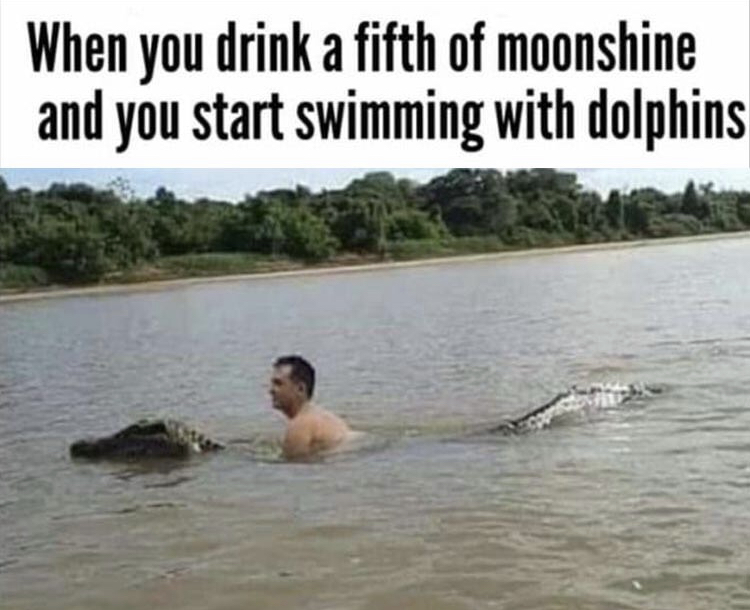 my hobbies include smoking weed and swimming - When you drink a fifth of moonshine and you start swimming with dolphins