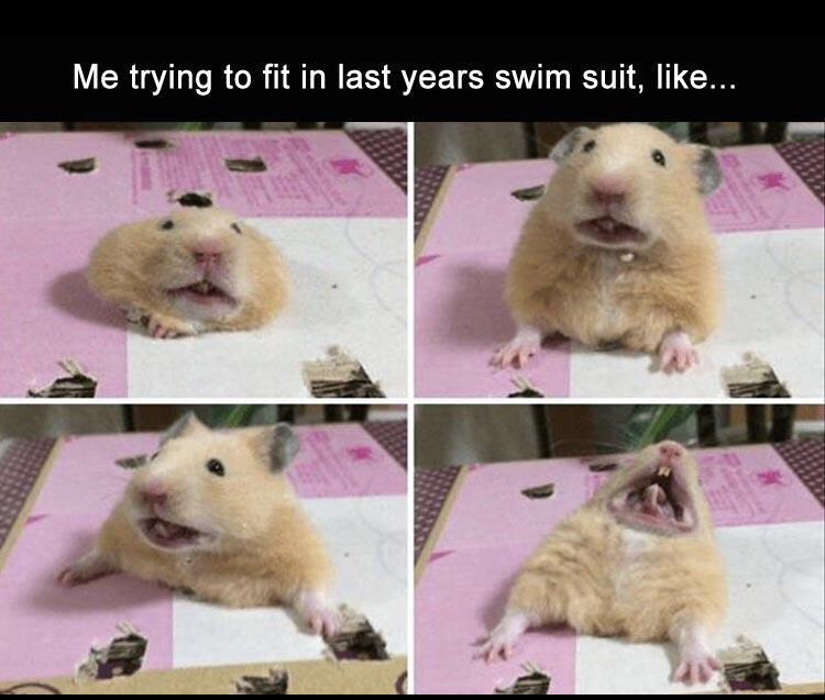 me trying to fit into skinny jeans - Me trying to fit in last years swim suit, ...