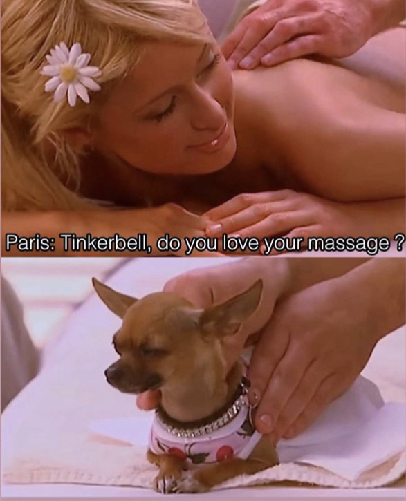 dog - Paris Tinkerbell, do you love your massage ?