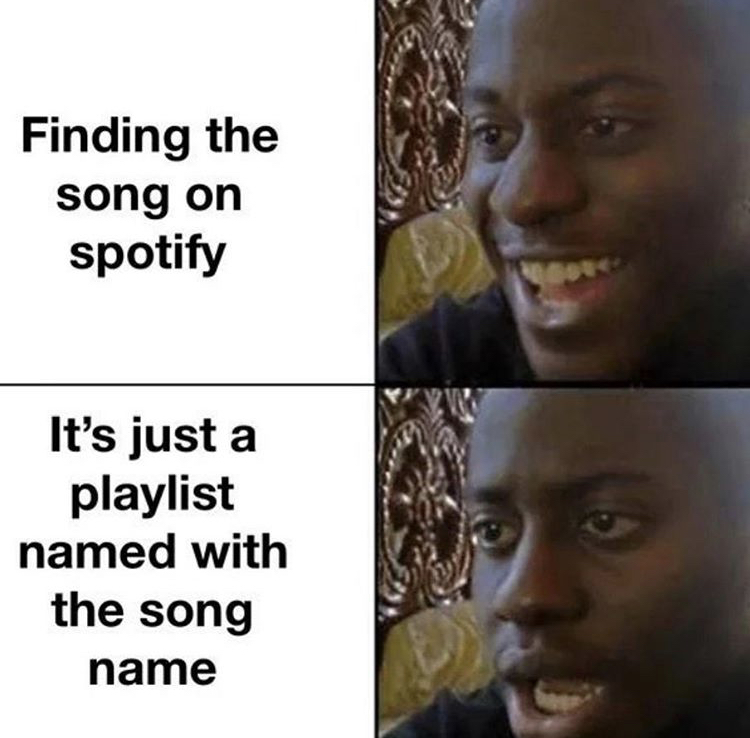 smile then bruh meme - Finding the song on spotify It's just a playlist named with the song name