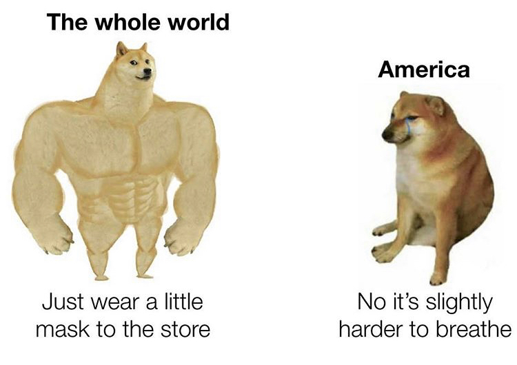 chad doge meme template - The whole world America Just wear a little mask to the store No it's slightly harder to breathe