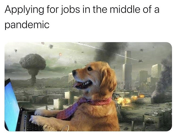 third world war apocalypse - Applying for jobs in the middle of a pandemic