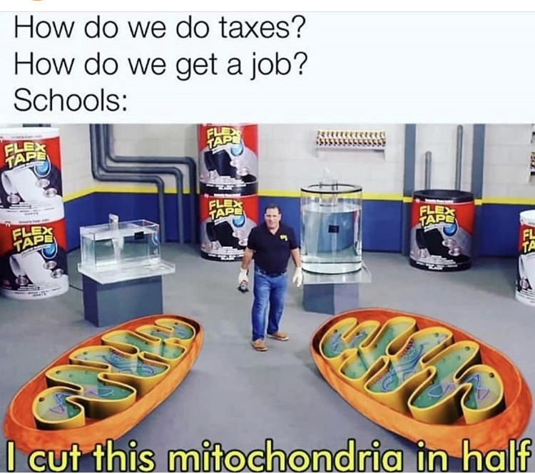 sawed this boat in half - How do we do taxes? How do we get a job? Schools Fles Fle Tar Tare Flex Fles Tape Tart Flex Tape Fl Ta 23 I cut this mitochondria in half