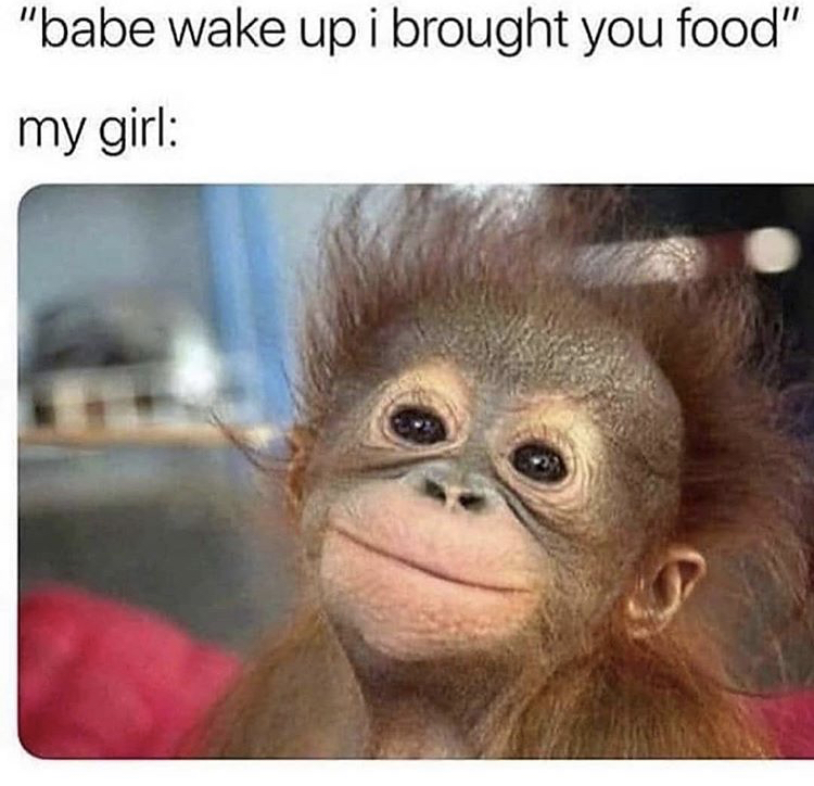 babe wake up i brought you food - "babe wake up i brought you food" my girl