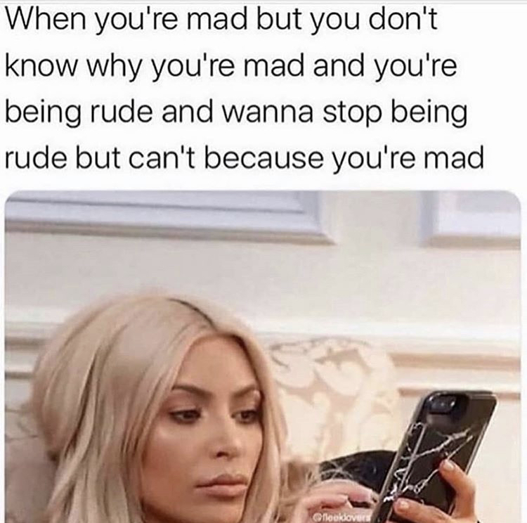 Kim Kardashian - When you're mad but you don't know why you're mad and you're being rude and wanna stop being rude but can't because you're mad Chookcovers