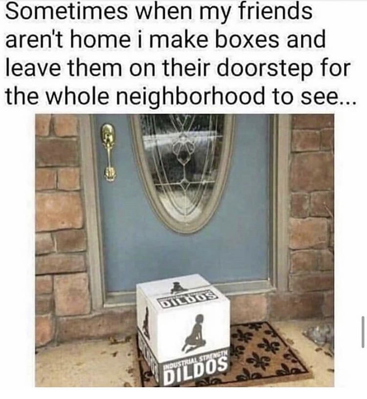 dildo box meme - Sometimes when my friends aren't home i make boxes and leave them on their doorstep for the whole neighborhood to see... Industrial Stronik Dildos