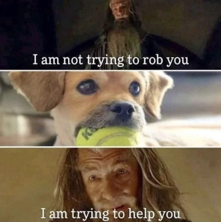 dog play ball - I am not trying to rob you I am trying to help you
