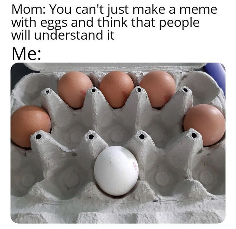 Internet meme - Mom You can't just make a meme with eggs and think that people will understand it Me