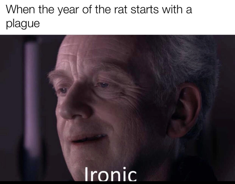 year of the rat coronavirus meme - When the year of the rat starts with a plague Ironic