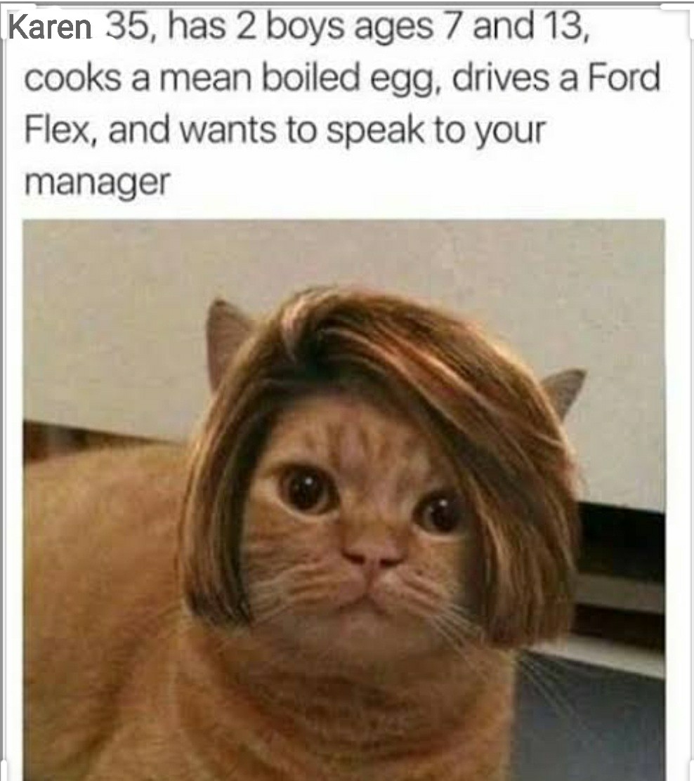 cats with wigs - Karen 35, has 2 boys ages 7 and 13, cooks a mean boiled egg, drives a Ford Flex, and wants to speak to your manager