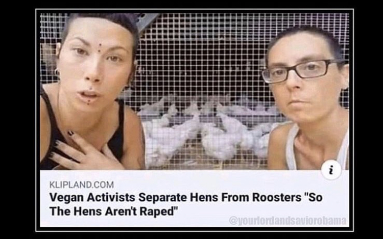 funny skyrim - Titev i Klipland.Com Vegan Activists Separate Hens From Roosters "So The Hens Aren't Raped"