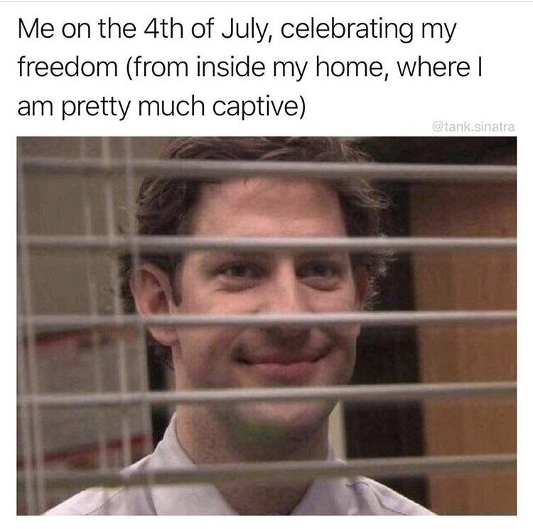 holi memes funny - Me on the 4th of July, celebrating my freedom from inside my home, where | am pretty much captive .sinatra