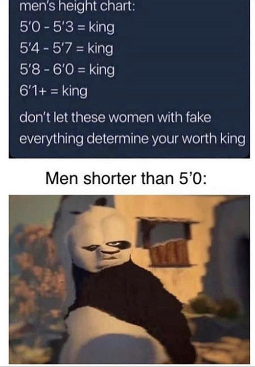 drunk kung fu panda meme - men's height chart 5'05'3 king 5'45'7 king 5'8 6'0 king 6'1 king don't let these women with fake everything determine your worth king Men shorter than 5'0