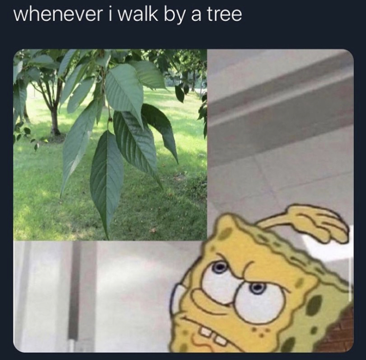 supa strikas memes - whenever i walk by a tree