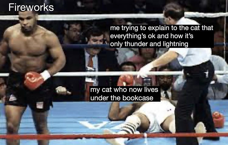 mike tyson fight - Fireworks me trying to explain to the cat that everything's ok and how it's only thunder and lightning my cat who now lives under the bookcase