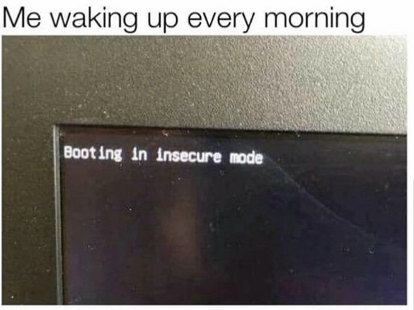 insecure meme - Me waking up every morning Booting in insecure mode