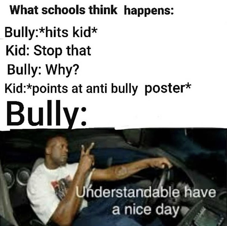 Internet meme - What schools think happens Bullyhits kid Kid Stop that Bully Why? Kidpoints at anti bully poster Bully Understandable have a nice day