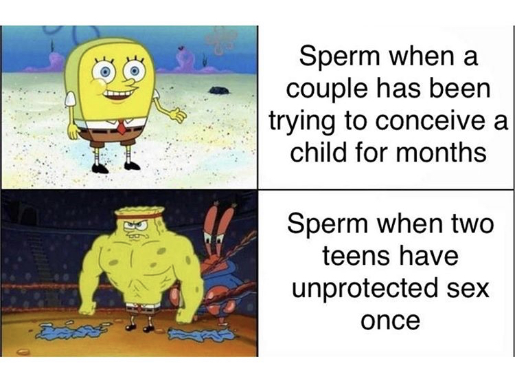 programming semicolon meme - Sperm when a couple has been trying to conceive a child for months 22 Sperm when two teens have unprotected sex once