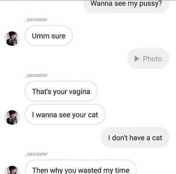 communication - Wanna see my pussy? sarcaster Umm sure Photo sarcaster That's your vagina I wanna see your cat I don't have a cat sarcaster Then why you wasted my time
