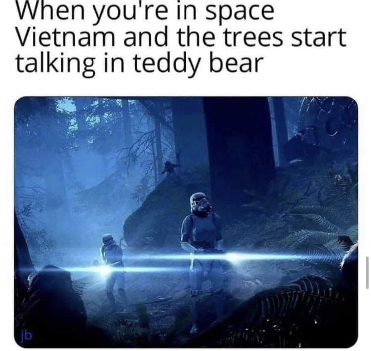 you re in space vietnam - When you're in space Vietnam and the trees start talking in teddy bear jb