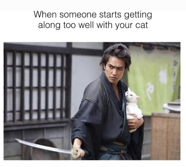 samurai with a cat - When someone starts getting along too well with your cat