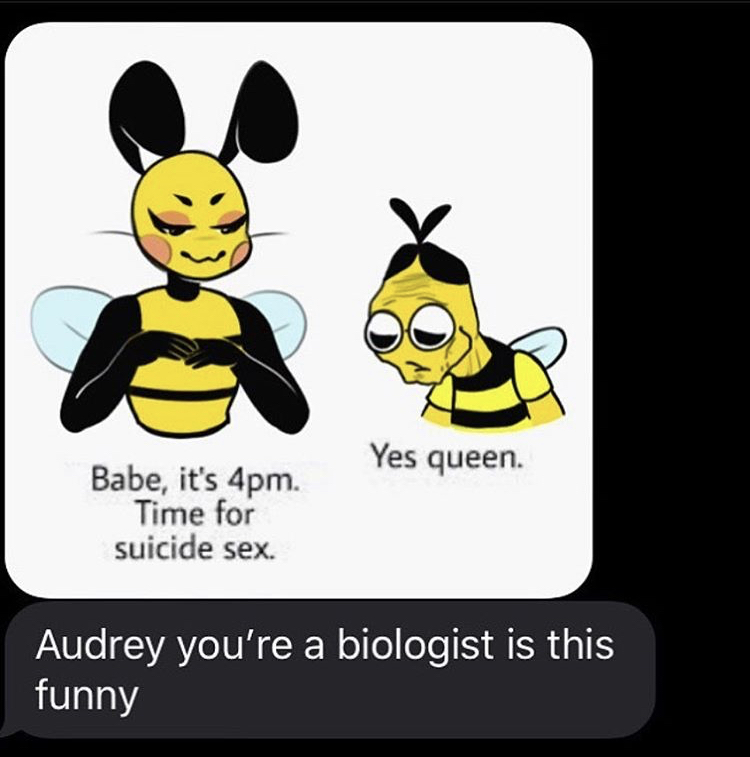 yes queen meme bee - Yes queen Babe, it's 4pm. Time for suicide sex. Audrey you're a biologist is this funny