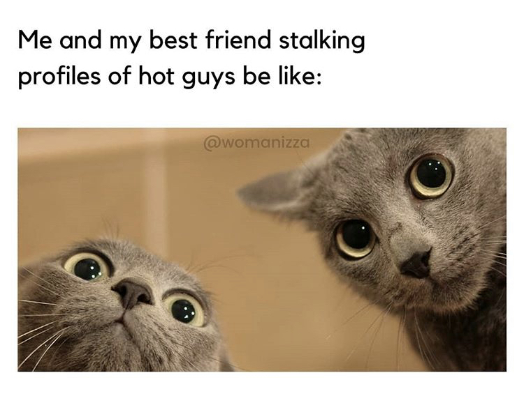 cute cat selfie - Me and my best friend stalking profiles of hot guys be