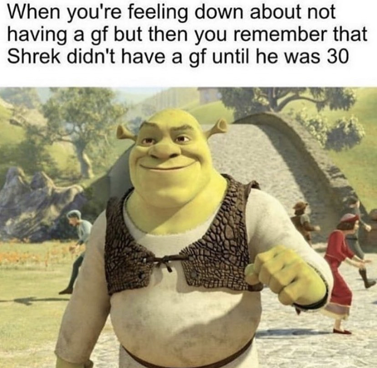 shrek forever after - When you're feeling down about not having a gf but then you remember that Shrek didn't have a gf until he was 30