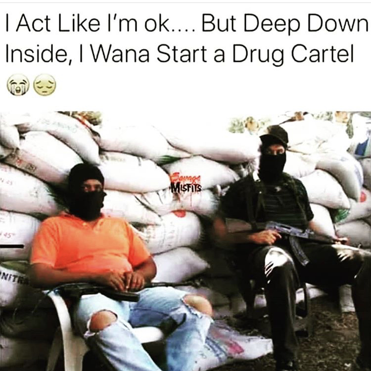 Drug cartel - I Act I'm ok.... But Deep Down Inside, I Wana Start a Drug Cartel Misfits Nities