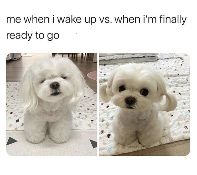 me when i wake up meme - me when I wake up vs. when i'm finally ready to go 28
