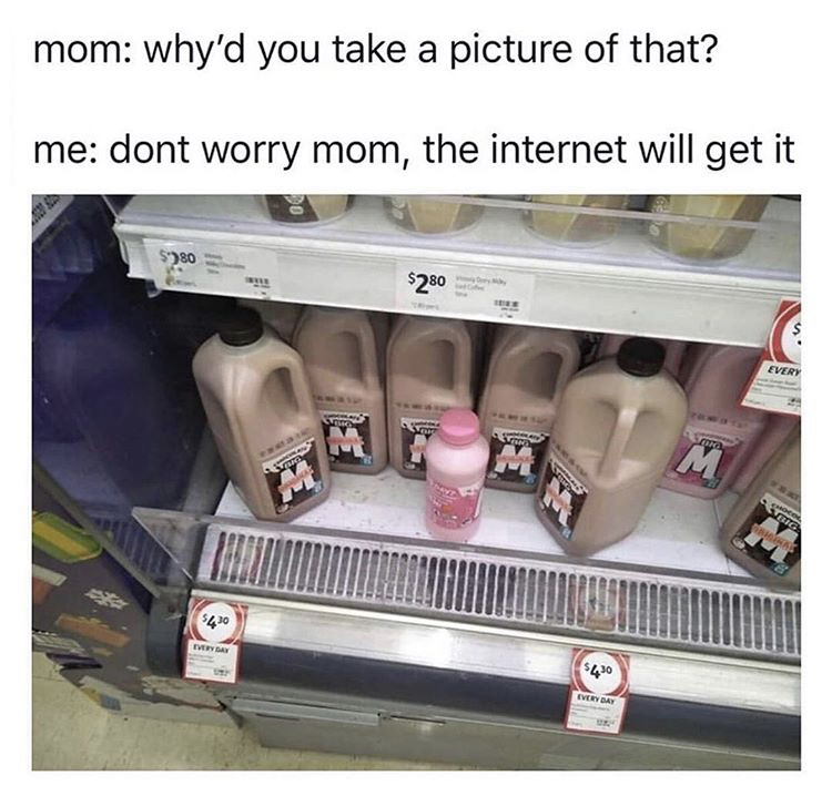chocolate milk strawberry milk meme - mom why'd you take a picture of that? me dont worry mom, the internet will get it $780 $280 Every Crna Cag M Lrg Sibig $430 Veryday $430 Everyday