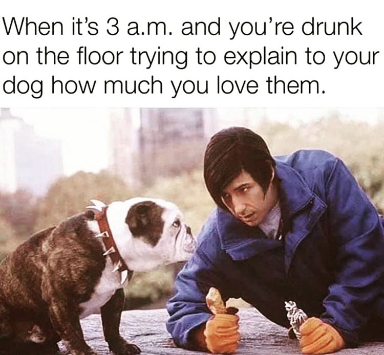 little nicky dog - When it's 3 a.m. and you're drunk on the floor trying to explain to your dog how much you love them.