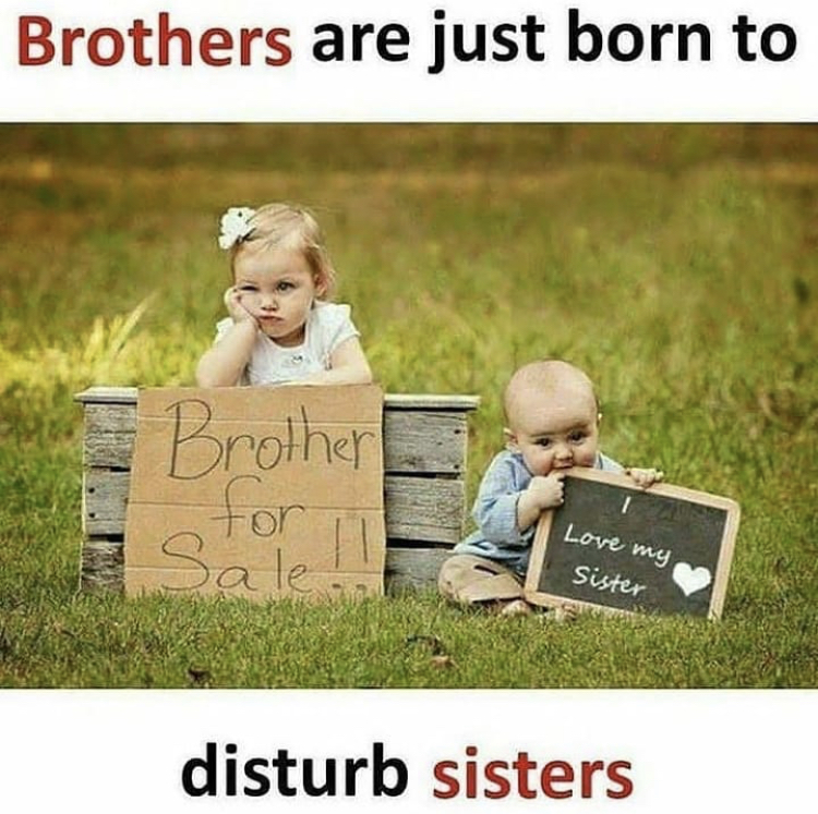 brother for sale - Brothers are just born to Brother for Sale Love my Sister disturb sisters