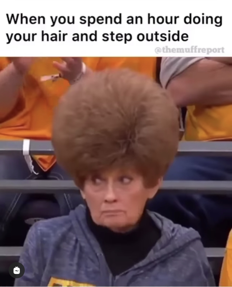 funny karen memes - When you spend an hour doing your hair and step outside
