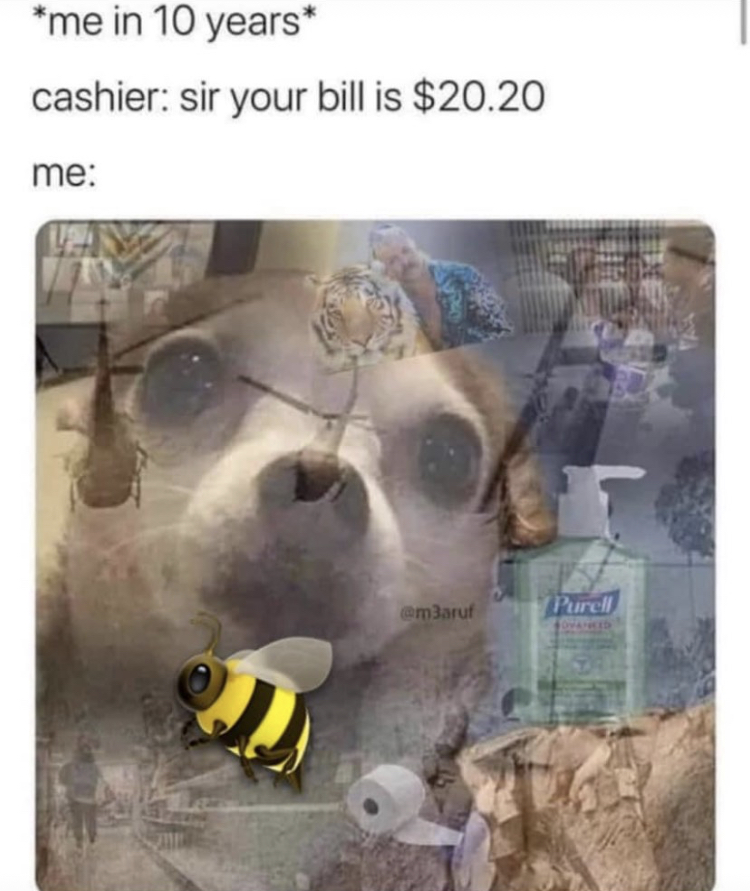 2020 dog meme - me in 10 years cashier sir your bill is $20.20 me marul