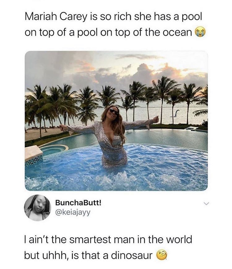 mariah carey pool - Mariah Carey is so rich she has a pool on top of a pool on top of the ocean Buncha Butt! I ain't the smartest man in the world but uhhh, is that a dinosaur