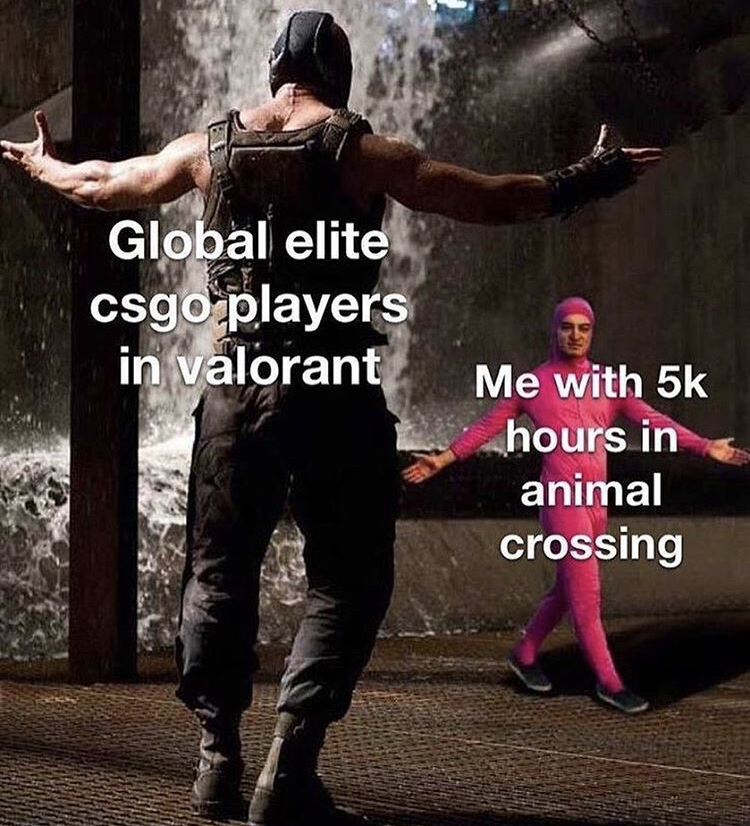 covid 19 essential memes - Global elite csgo players in valorant Me with 5k hours in animal crossing