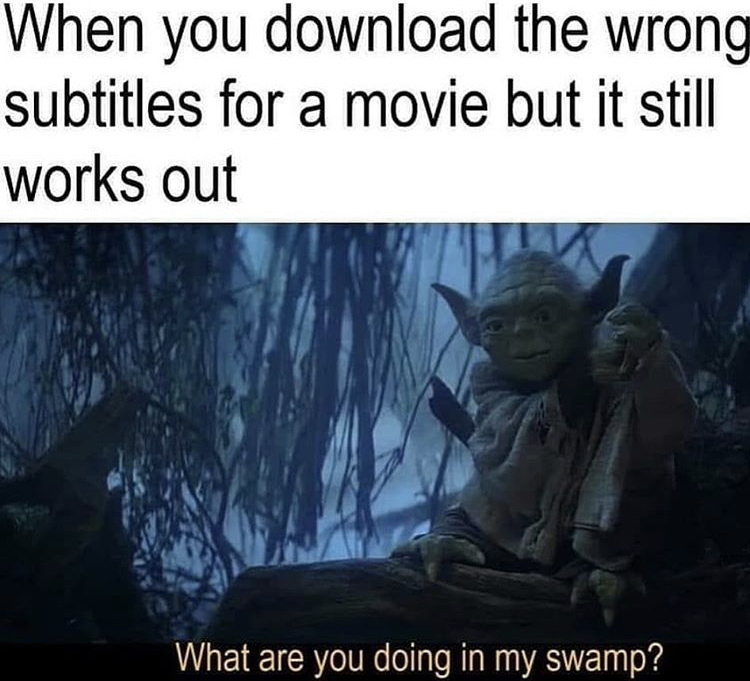 yoda empire strikes back - When you download the wrong subtitles for a movie but it still works out What are you doing in my swamp?