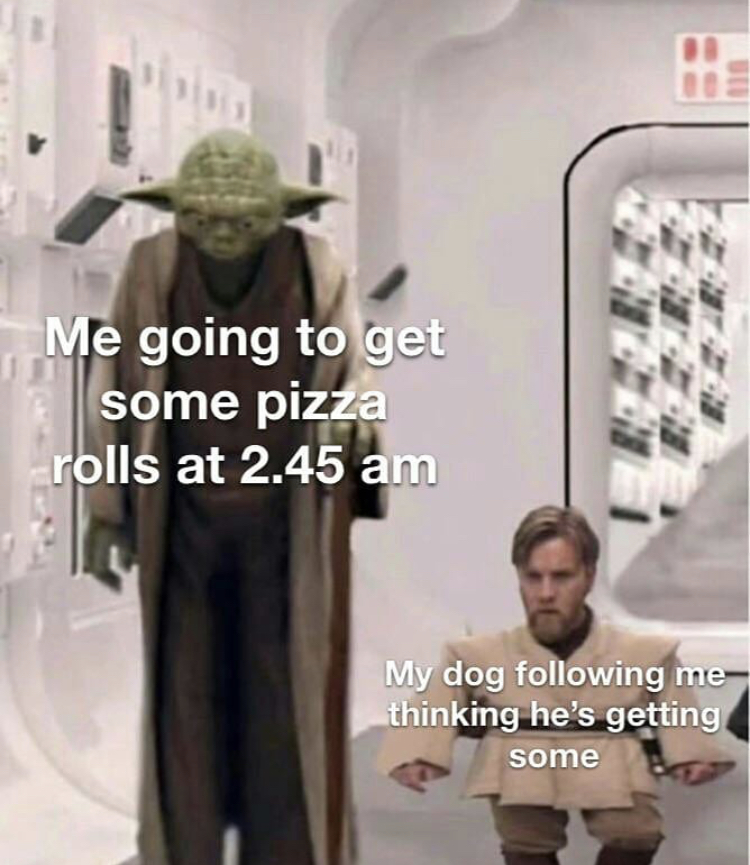 tall yoda and obi wan - Me going to get some pizza rolls at 2.45 am My dog ing me thinking he's getting some