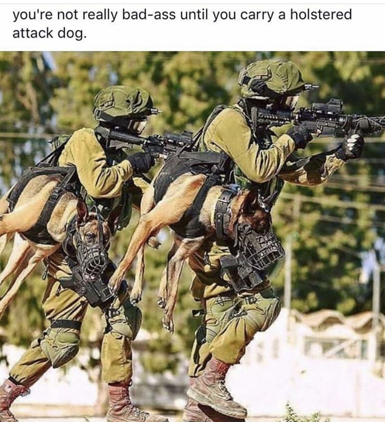 assault dog - you're not really badass until you carry a holstered attack dog. 4 Van Suled
