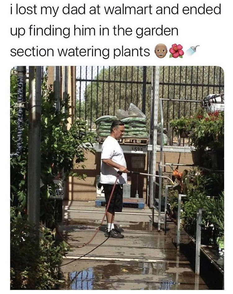 funny gardening memes - i lost my dad at walmart and ended up finding him in the garden section watering plants Late