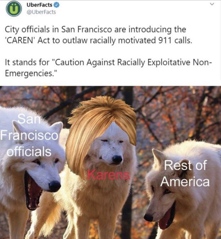fauna - > UberFacts City officials in San Francisco are introducing the Caren' Act to outlaw racially motivated 911 calls. It stands for "Caution Against Racially Exploitative Non Emergencies." San Francisco officials Care Rest of America