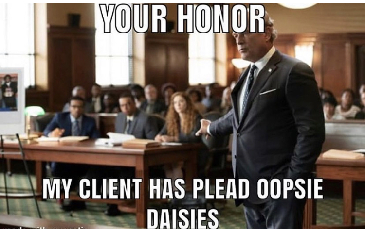 your honor my client has plead oopsie daisies