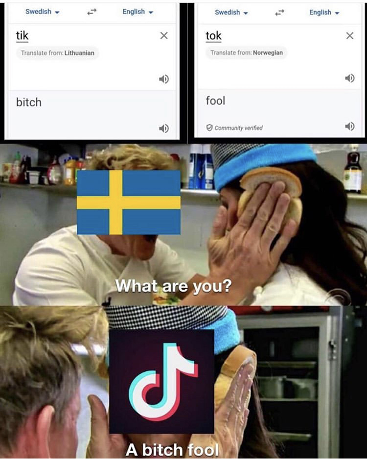 black metal memes - Swedish 11 English Swedish English tik tok Translate from Norwegian Translate from Lithuanian bitch fool Community verified What are you? q A bitch fool